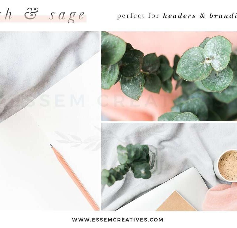 Blush and Sage Feminine Stock Photos and Social Media Branding Bundle 3 This Blush and Sage Feminine Stock Photos and Social Media Branding Bundle is a Mega Pack of content for small business owners. This kit includes modern minimalist branding images with a touch of watercolor. This stock photo and social media bundle is aimed at busy creative business owners & bloggers who want to be consistent with their posting on Instagram to grow their following & engage with their audience on a regular basis.
