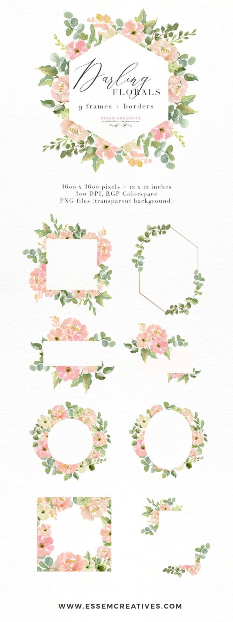Watercolor Flower Border Clipart, Romantic Blush Peony Floral Frame PNG ...
