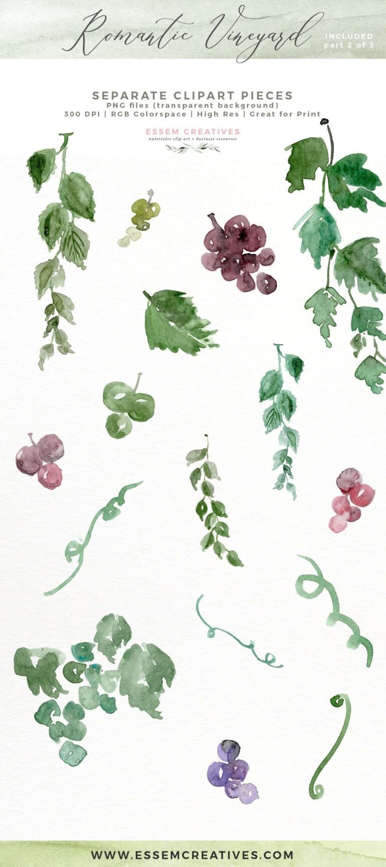Watercolor Vineyard Landscape Wedding Invitation Clipart | Essem Creatives