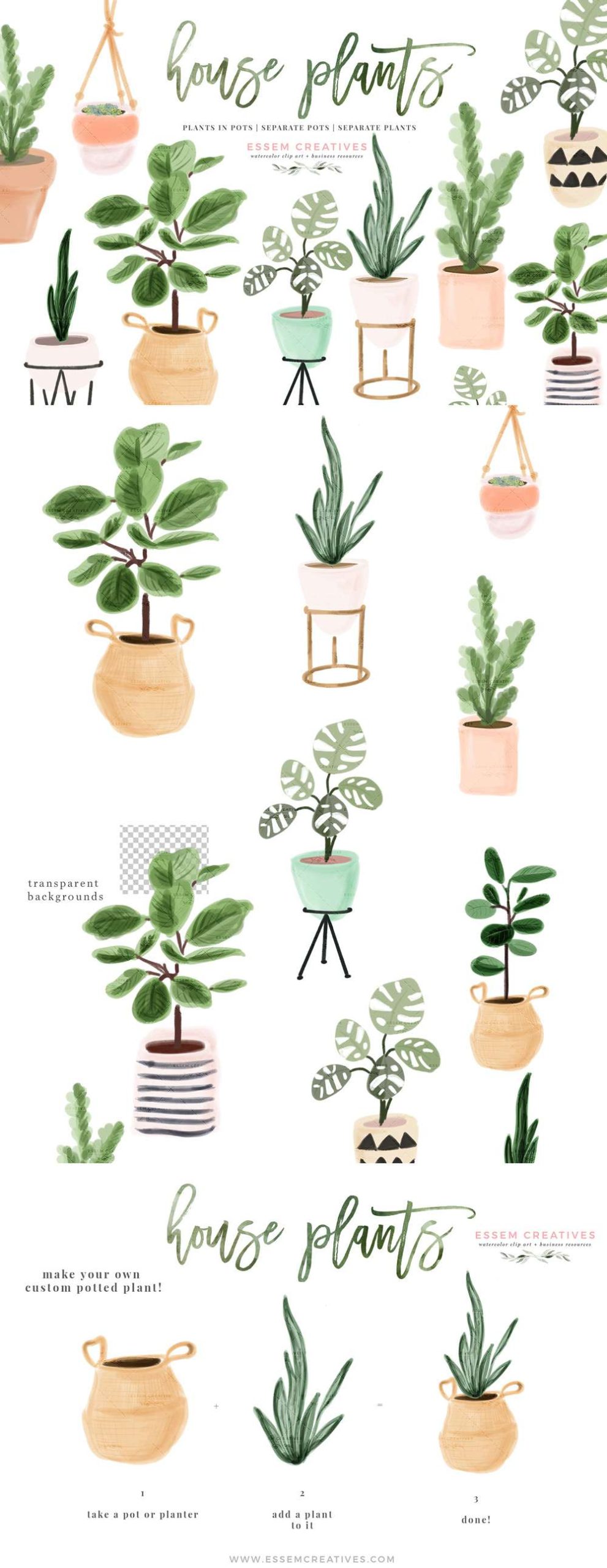 Watercolor House Plant Clip Art, Indoor Plants Potted Plant Graphics Clipart Illustrations, Cactus Succulents Urban Garden | Includes air purifier plants like fiddle leaf fig, monstera deliciosa, rubber plant, snake plant (sansaveria), Z plant, succulents. Cute modern basket, ceramic and terracotta pots and planters. Perfect for plant nursery logo branding, cards, house warming invitations, digital planner sticker deco & more! Click to see more>> #houseplants #indoorplants #watercolor