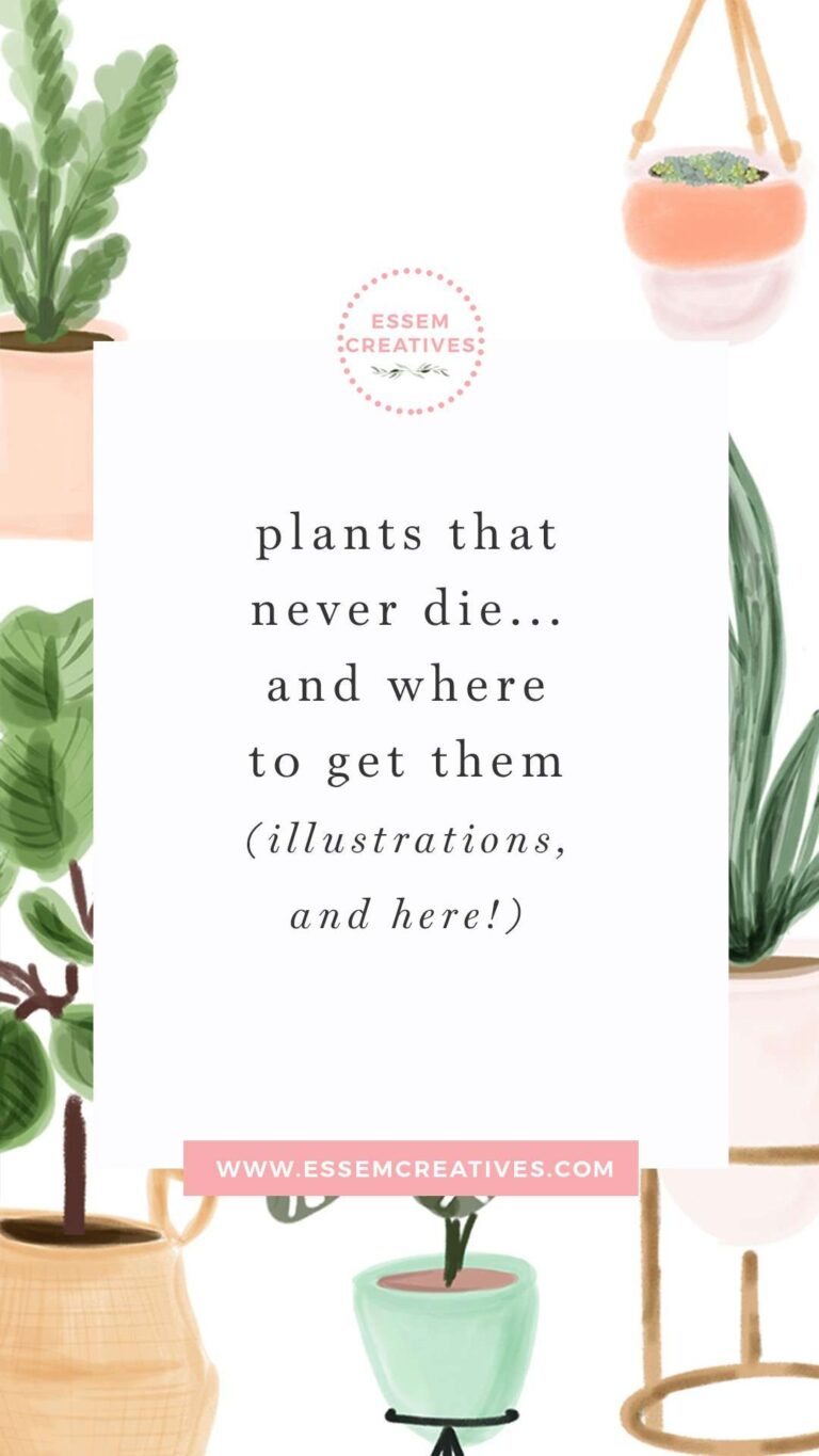 Watercolor House Plants Clip art that never die. Indoor potted plant illustrations and drawing. These would work wonderfully for logos & branding (especially if you are a small gifting company or local plant nursery or a gardening centered blog). It would also make cute and uplifting planner stickers, and also work well printed out as is for wall art for your home. Click to see more>> #houseplants #indoorplants #plannerstickers