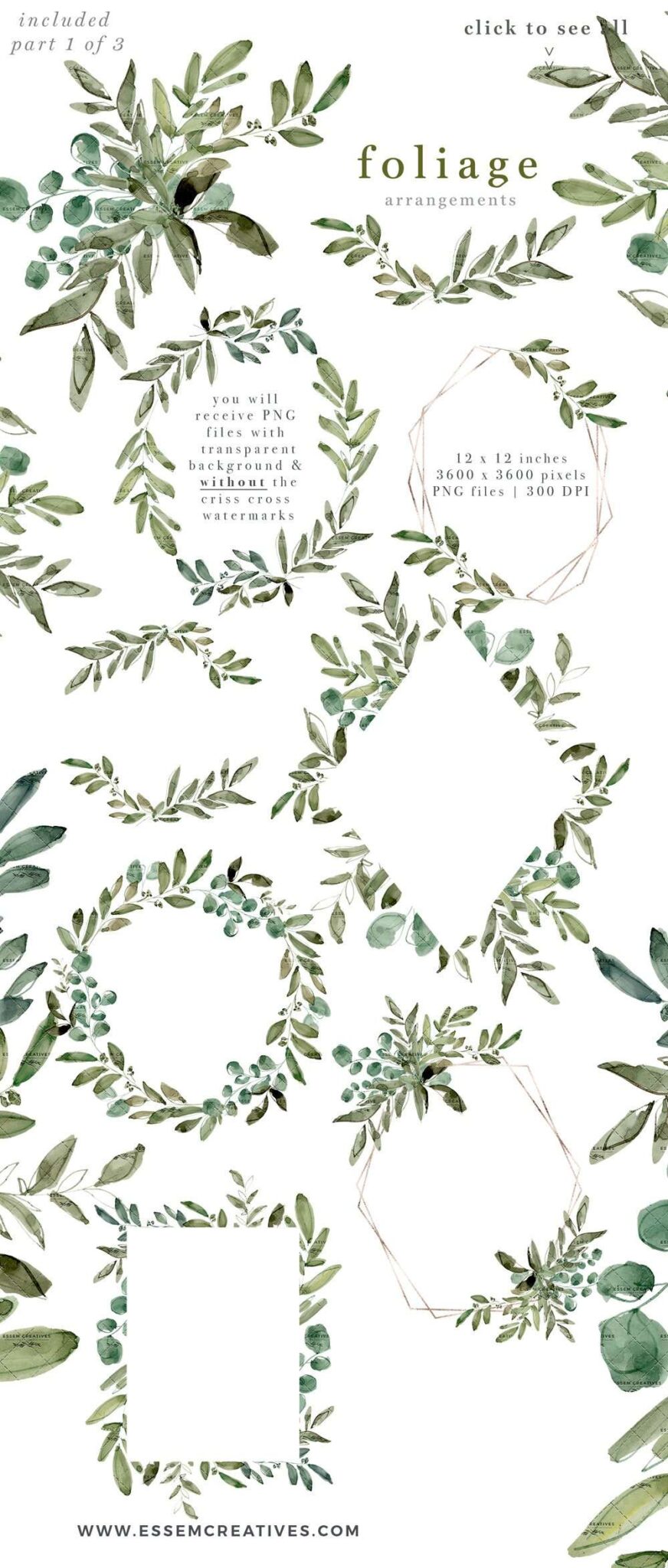 Watercolor Eucalyptus Clipart, Greenery Foliage Green Leaf Leaves ...