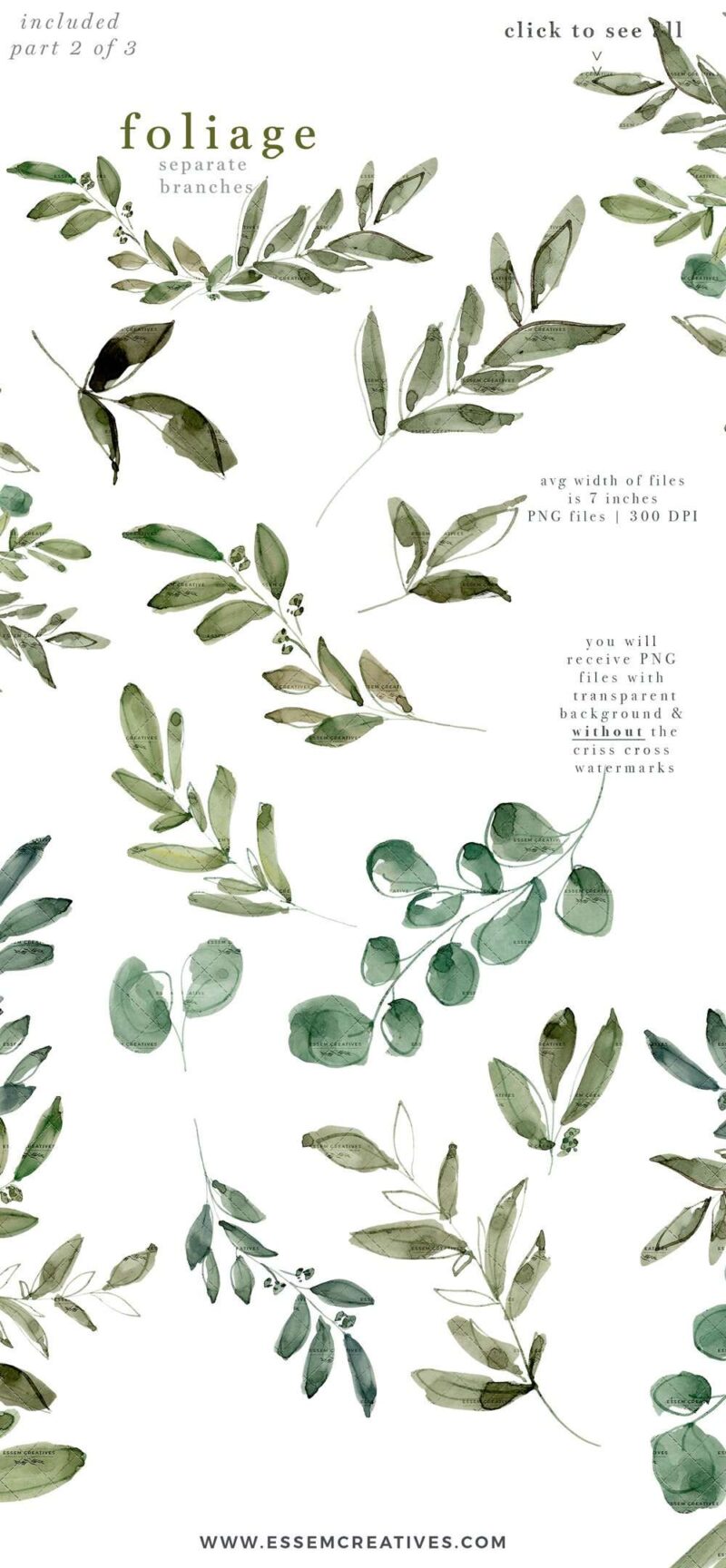 Watercolor Eucalyptus Clipart, Greenery Foliage Green Leaf Leaves ...
