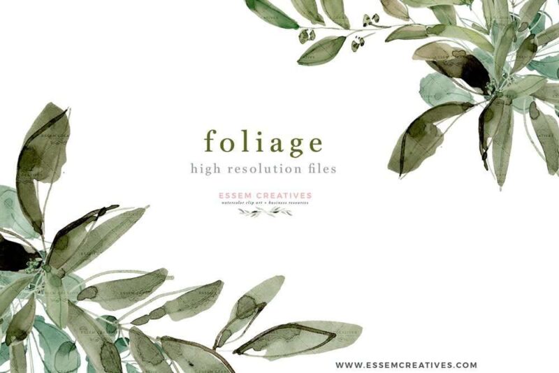 Watercolor Eucalyptus Clipart, Greenery Foliage Green Leaf Leaves ...