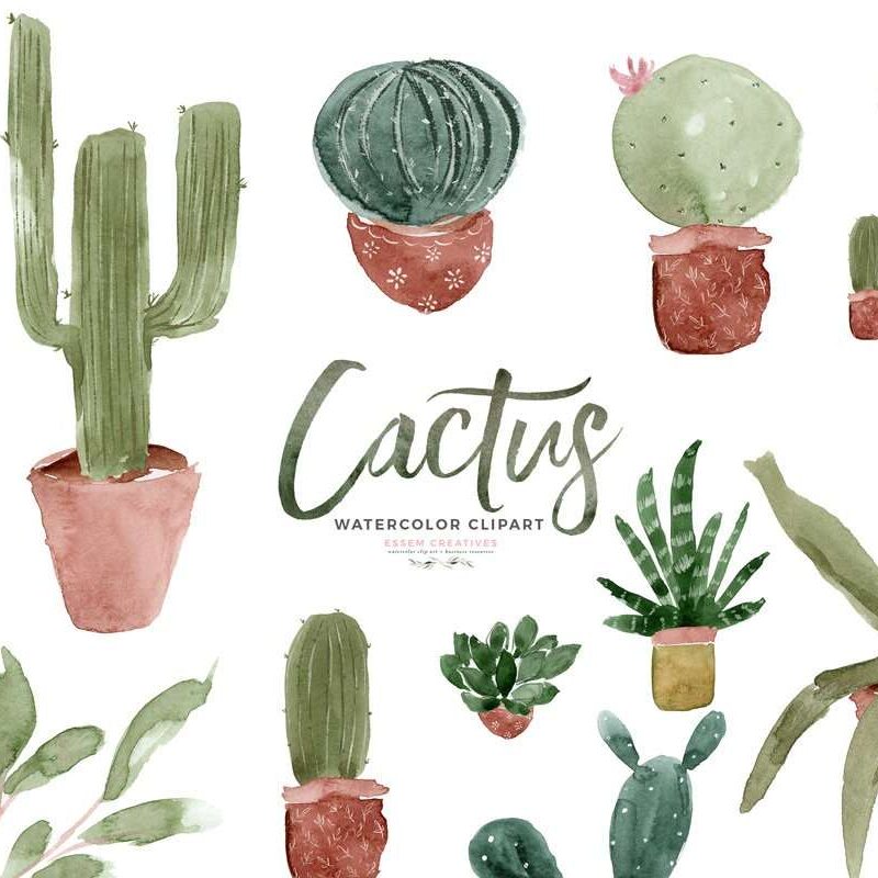 Watercolor Cactus Cacti Clipart, Potted Cactuses House Plants Indoor Plants Succulent Graphics Download PNG Commercial Use | Spring Summer Watercolor Clip Art | Perfect for rustic, vintage watercolor wedding invitations, digital scrapbooking, bridal shower invites party, gender neutral baby shower invites, scrapbooking, digital papers, Save the Date, birthday party, menu, table numbers, welcome sign, logo branding, gift tags, planner stickers