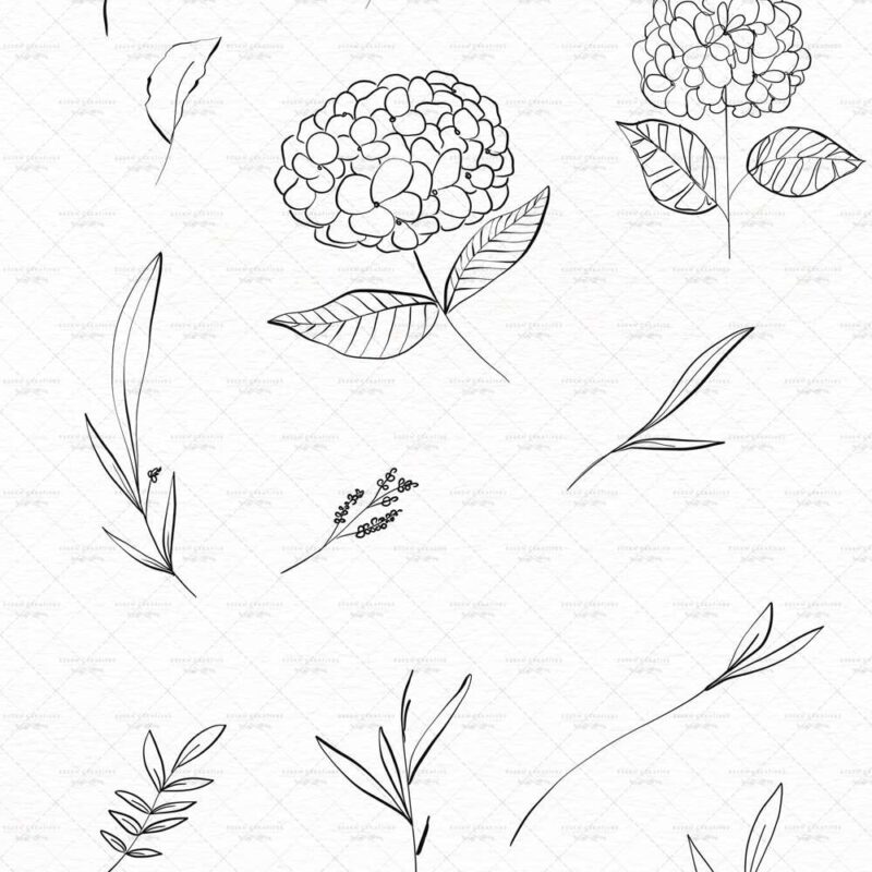 Hydrangea Line Art Botanical Illustration Clipart Graphics with Transparent Background | Botanical Line Art wedding invitations, save the date card, gender reveal party invites, gender neutral baby shower invitations, posters flyers, scrapbooking resources, surface pattern illustration, digital planner stickers, flower logo & brand design, nursery decor, photography backdrop, card borders | Click to see more>>