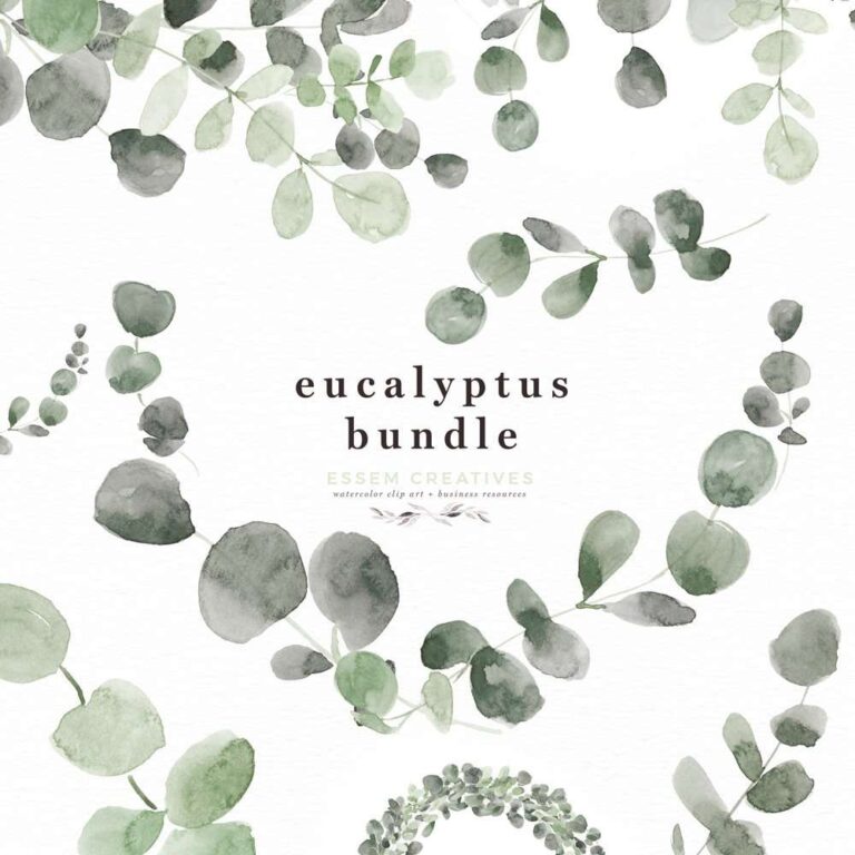 Watercolor Eucalyptus Branch Wreath Leaf Clipart PNG Foliage Greenery ...