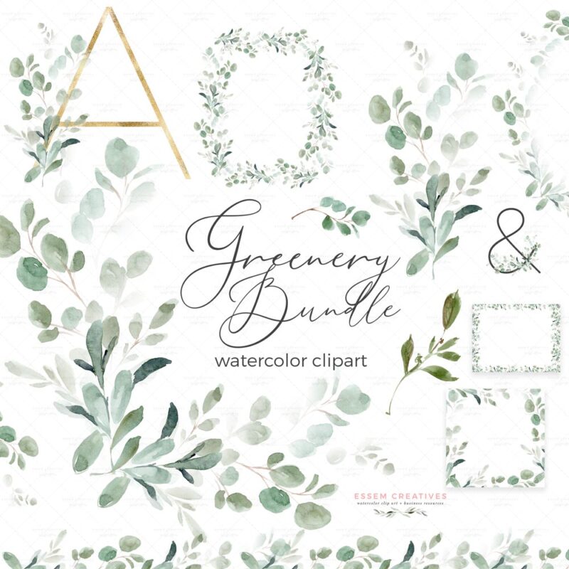 Greenery Watercolor Eucalyptus Clipart Bundle, Wedding Invitation Bridal Shower Invite Graphics, Sublimation Files, Card Border Template