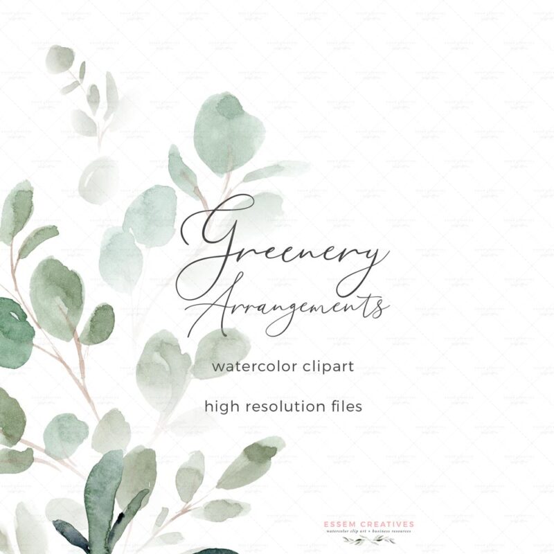 Greenery Watercolor Eucalyptus Clipart Bundle, Wedding Invitation ...