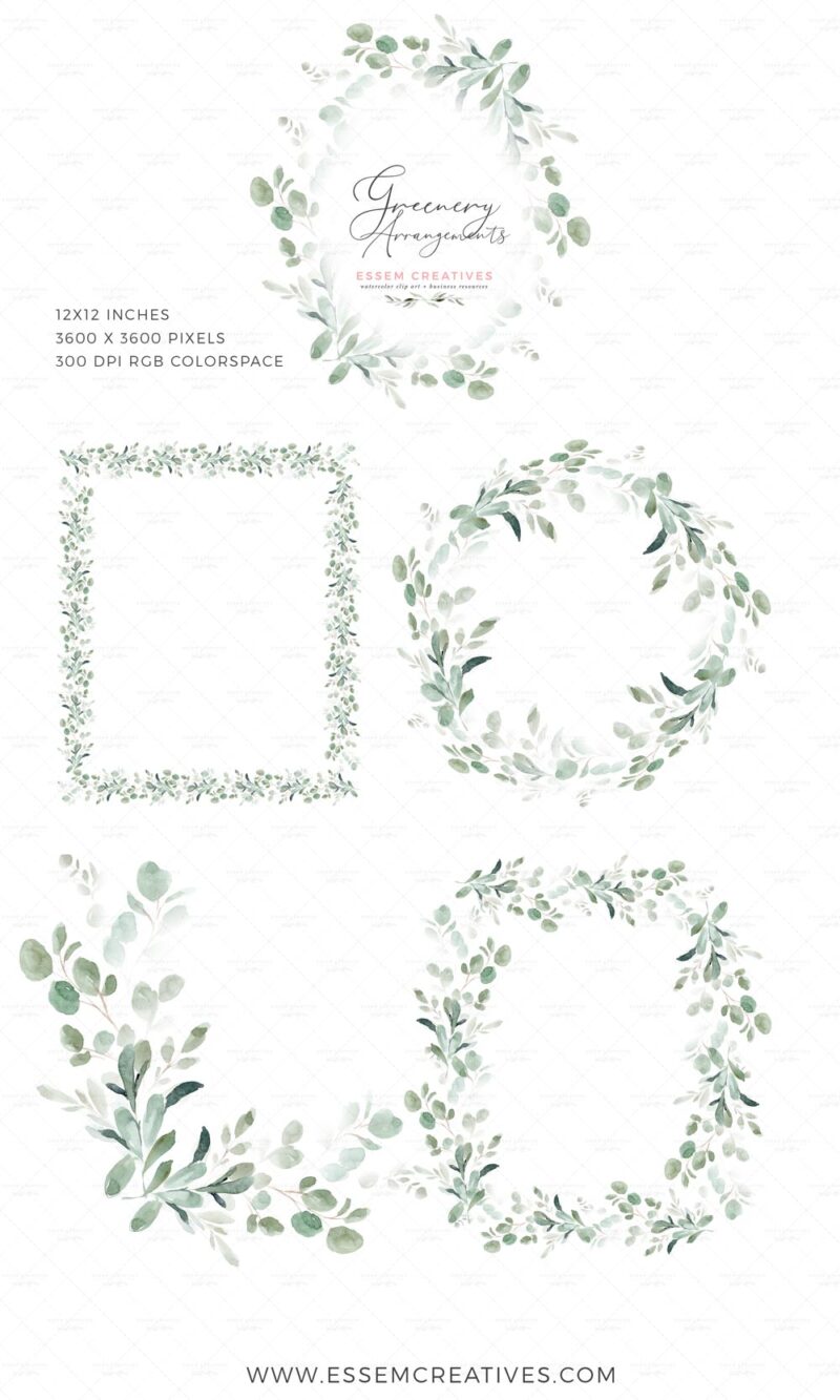 Greenery Watercolor Eucalyptus Clipart Bundle, Wedding Invitation ...