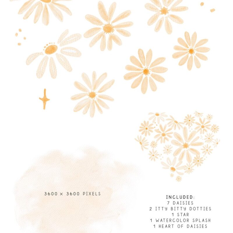 Watercolor Daisy Clipart, Daisy Background Frames for Boho Flower Girl Decor, Sublimation PNG, Baby Shower Birthday Invitation 5x7 Card